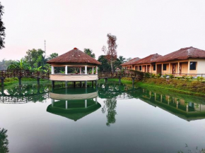 Sundarban Beckons